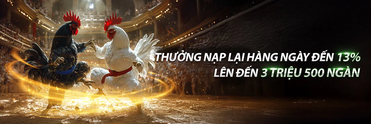 Sân vận động bóng đá với ánh đèn rực rỡ và giao diện cá cược d9bet