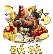 Chính sách Cookie D9BET